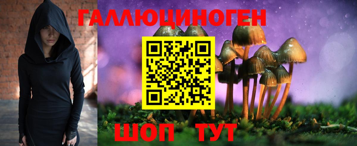 Галлюциногенные грибы прущие грибы  что такое наркотик  Галлюциногенные грибы Cubensis  Краснознаменск  Вход с VPN 
